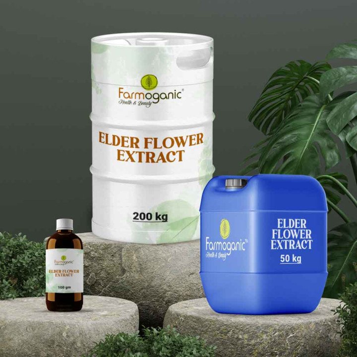 Elder Flower Extract